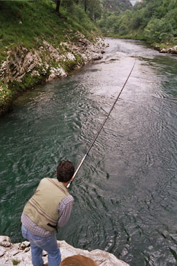 truchas en asturias,pesca truchas,asturias mosca,pesca a mosca pesca mosca